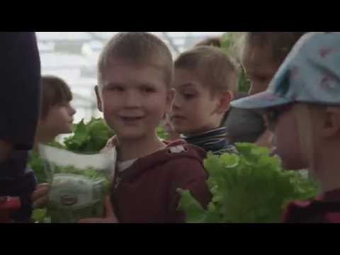 Video: Kaip Paruošti Natūralią Kosmetiką Akims Ir Rankoms Iš žolelių, Vaisių Ir Daržovių - 2