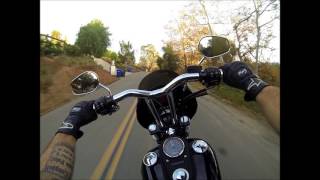 Street Bob Rinehart 2 into 1