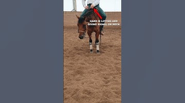 Part of our breakdown of the spin on reiningmasterclass.com #shorts