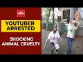 YouTuber makes pet dog fly using balloons in video, arrested for animal cruelty