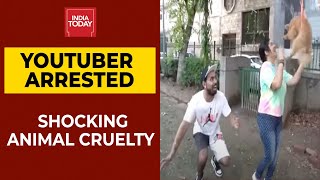 Delhi YouTuber Makes Pet Dog Fly Using Balloons In Video, Arrested For Animal Cruelty