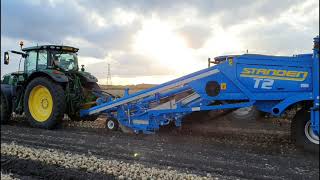 Onion Harvest With Gs Fresh2020Ely, Cambridgeshire