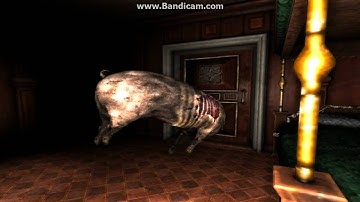 Amnesia Find stephano part 2 - DONT DO IT ÅKE