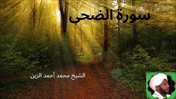 93. سورة الضحى -- الشيخ محمد أحمد الزين