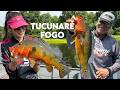 Ep 39 T2 Ian e Laura da Pesca na Pousada Jundiá no sul do Pará