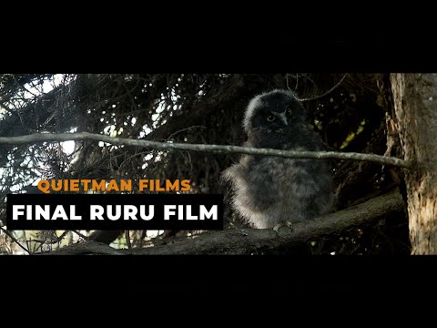 The Ruru and me 2025