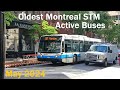 OLDEST ACTIVE MONTREAL STM BUSES MAY 2024