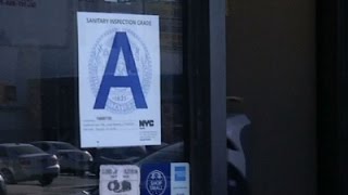 Restaurant-style Grades for NYC Salons
