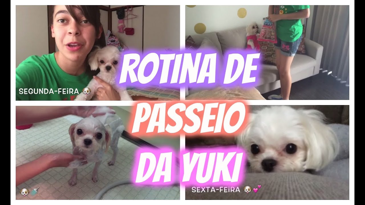 Rotina de passeio da Yuki - Osanpo