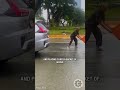 Man Saves Catfish From Road Flood 🐟🙌