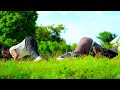 Tozz Nyama Ft Mjukuu Mwanamalonde 2024 Upload Tanzania Asila Music 0628360989 Tozz Nyama Ft Mjukuu Mwanamalonde 2024 Upload Tanzania Asila Music 0628360989