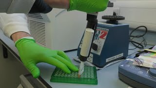 NGS library preparation protocol for solid tumour samples – Wash streptavidin beads