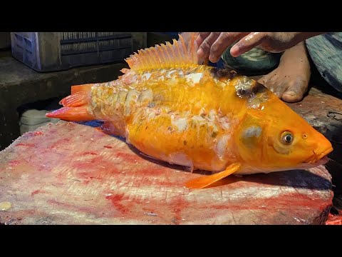Hanif Fish @Hanif fish cutting channel is live! - YouTube