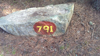 791 Burlingame State Campground Campsite