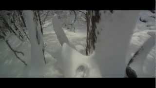 JIBBIN SKI & SNOWBOARD CAMP 2012 PROMO