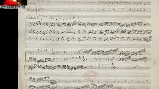 Fiedler Sinfonietta(SYMPHONY)  Pachelbel's Canon