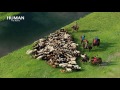 Aerial shooting : Steppes (Mongolia)