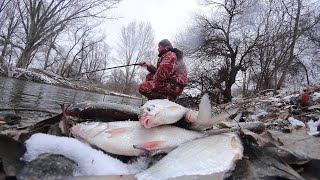 ПОПЛАВОК НЫРЯЕТ, ЛЬДОМ ПОКРЫВАЕТ. В КАНАЛЕ на поплавочную удочку зимой. Рыбалка на полавок.