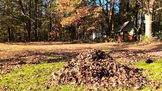 EPIC LEAF PILE JUMP 🍂