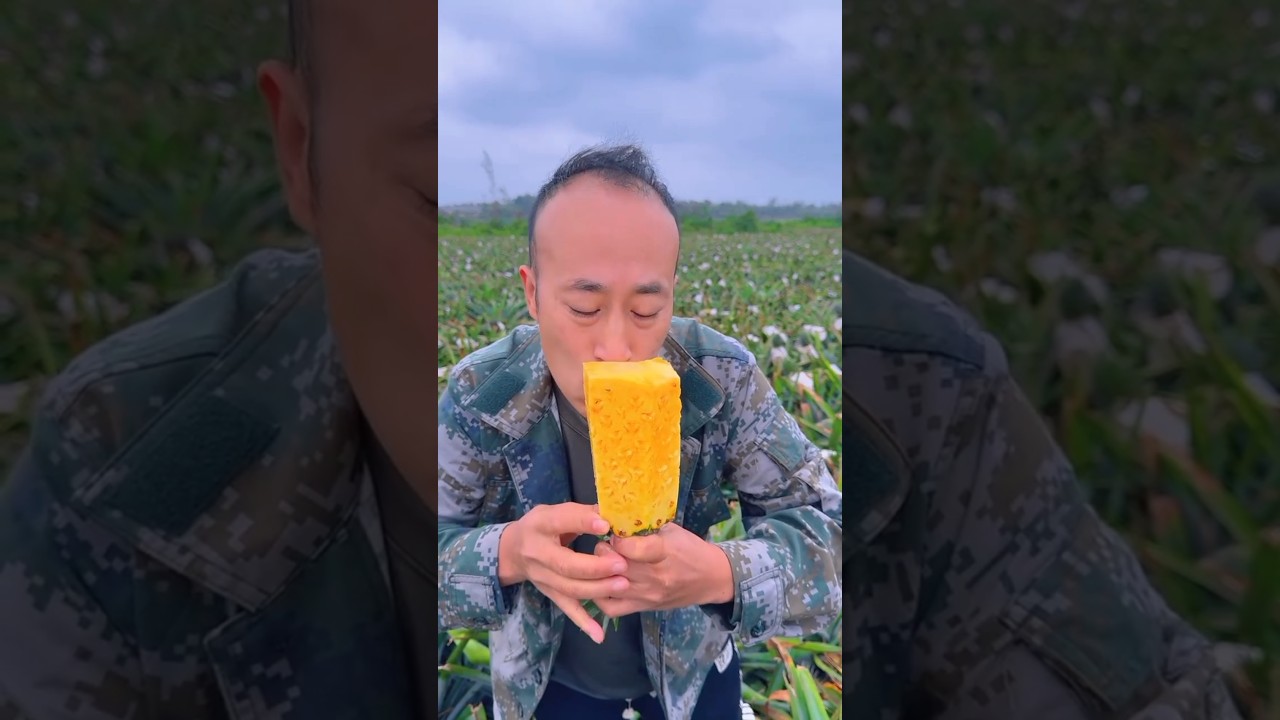 You will enjoy eating this very tasty and juicy pineapple