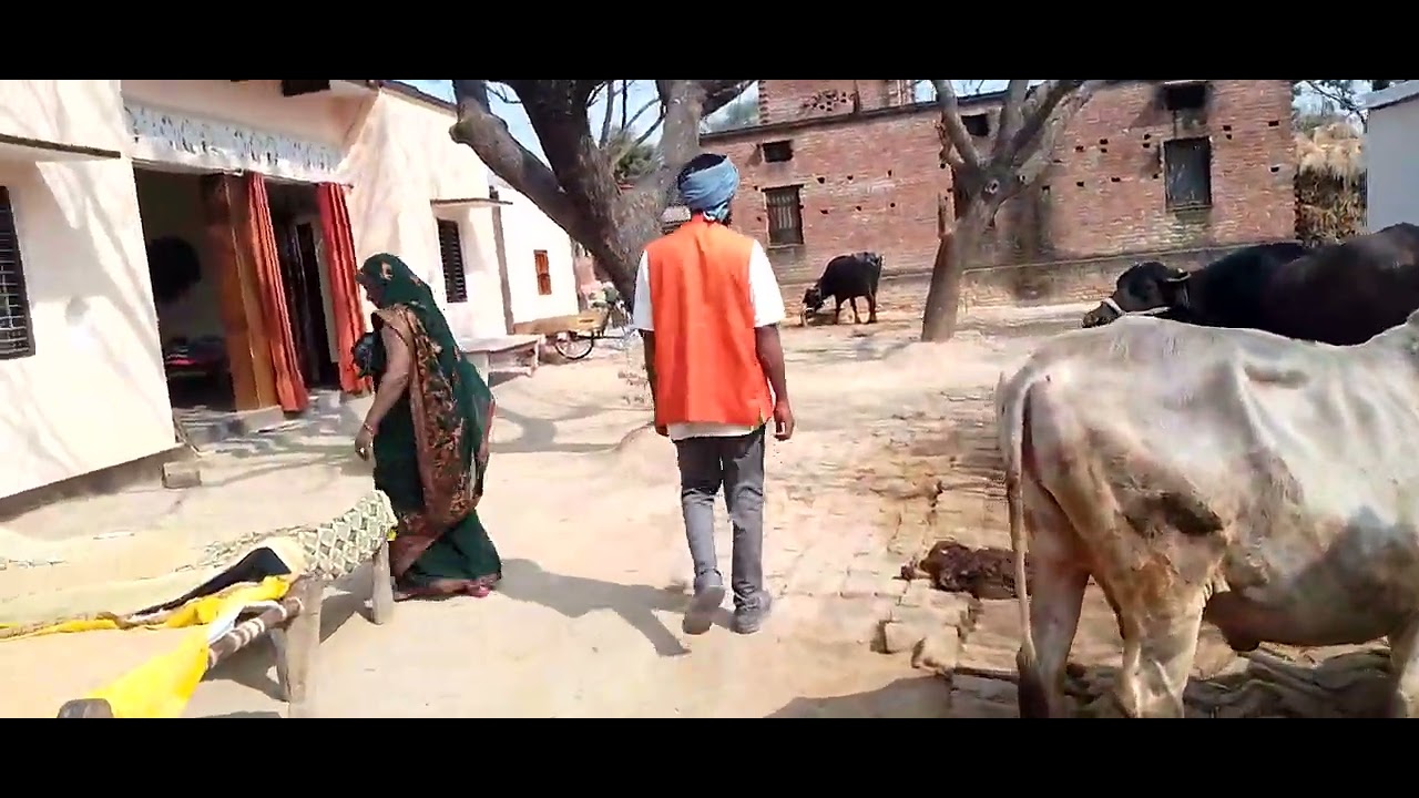 #funny #comedy #video