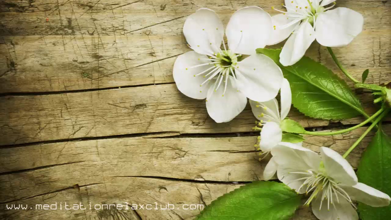 3 HOURS Calming Therapeutic Meditative Healing Music for Massage and Chakra Therapy healing meditation music download mp3