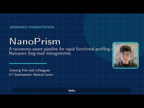 NanoPrism: Rapid Functional Profiling of Nanopore Metagenomes