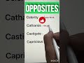 English Vocabulary Builder | Smart English Words