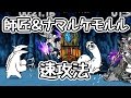 【速攻】高速編成集！ 星4 全ステージ 見つめてキャッツアイ【にゃんこ大戦争】