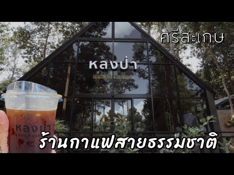 หลงป่าคาเฟ่ ร้านกาแฟเปิดใหม่ อำเภอเมือง จังหวัดศรีสะเกษ