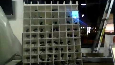 Baltimore Node LED Window Display