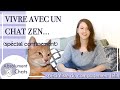 Vivre avec un chat zen  spcial confinement corona virus