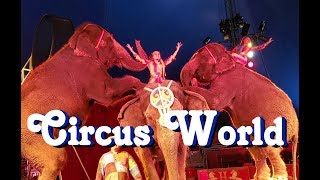 Circus World 2019 - Under the Big Top