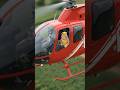 cat helicopter 🚁 see tomato 🍅🍅