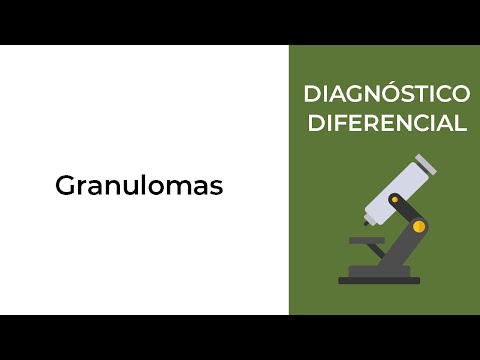 Vídeo: Granuloma De Llepar Acral En Gossos