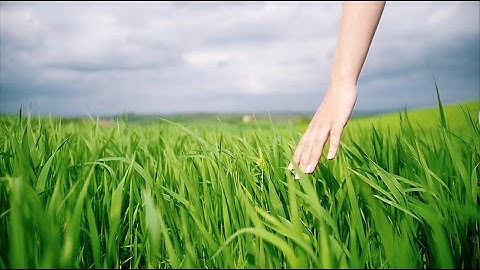 UAlbany BS Environmental and Sustainable Engineering