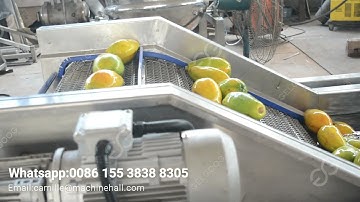 Papaya Washing Drying Grading Line (Mango Avocado) Fruit Processing Machinery