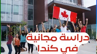 منح دراسية لطلاب الثانوية في كندا 2023# free study in canada