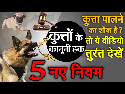 वीडियो: मेरे पैर के बीच मेरा कुत्ता क्यों सोता है?