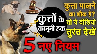 कुत्ता पालने का शौक है या पड़ोस में कुत्ता है तो ये  5 नए नियम जरूर जान ले dogs law gk info news screenshot 1