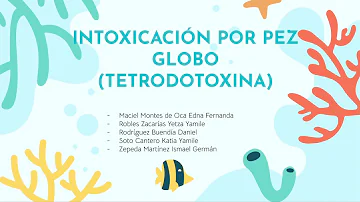 ¿Cómo eliminar la tetrodotoxina?