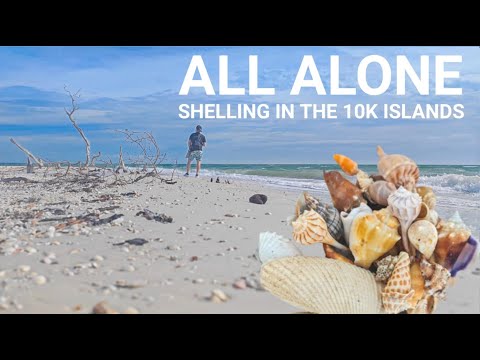 I had this ENTIRE Island to MYSELF - Shell PILES EVERYWHERE!