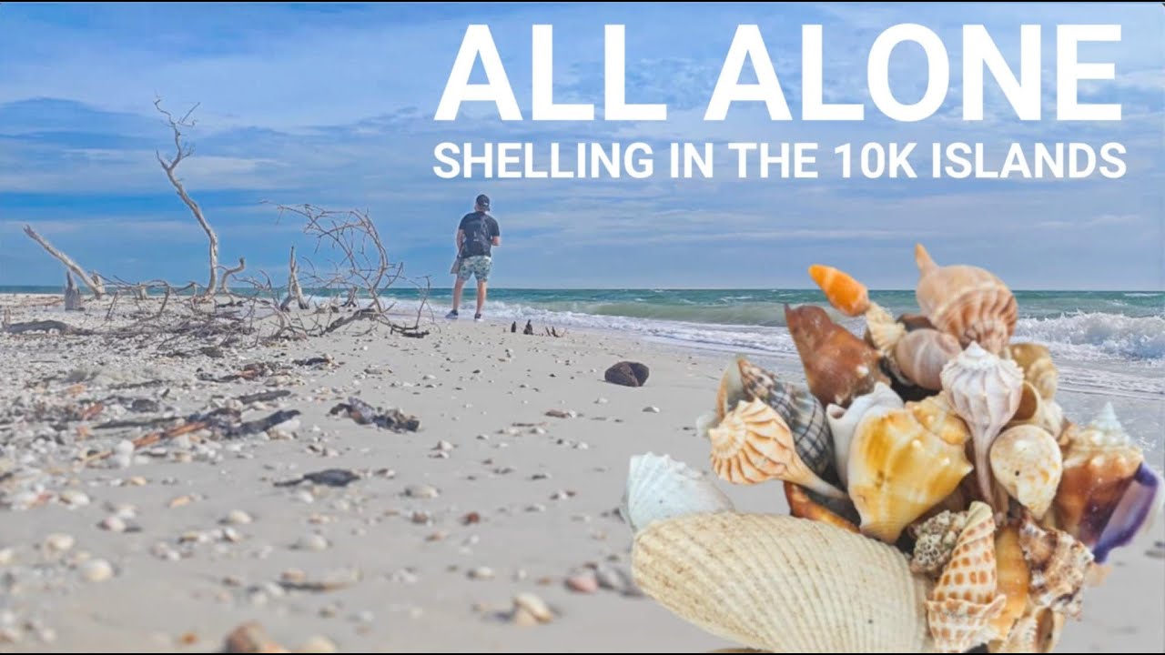 ВЕСЬ остров был в моем полном распоряжении — ВЕЗДЕ ГРУДЫ РАКУШЕК!