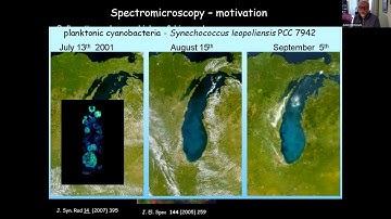 Soft X-ray Spectromicroscopy in Scanning Transmission X-ray Microscopes: XAS Journal Club Hitchcock
