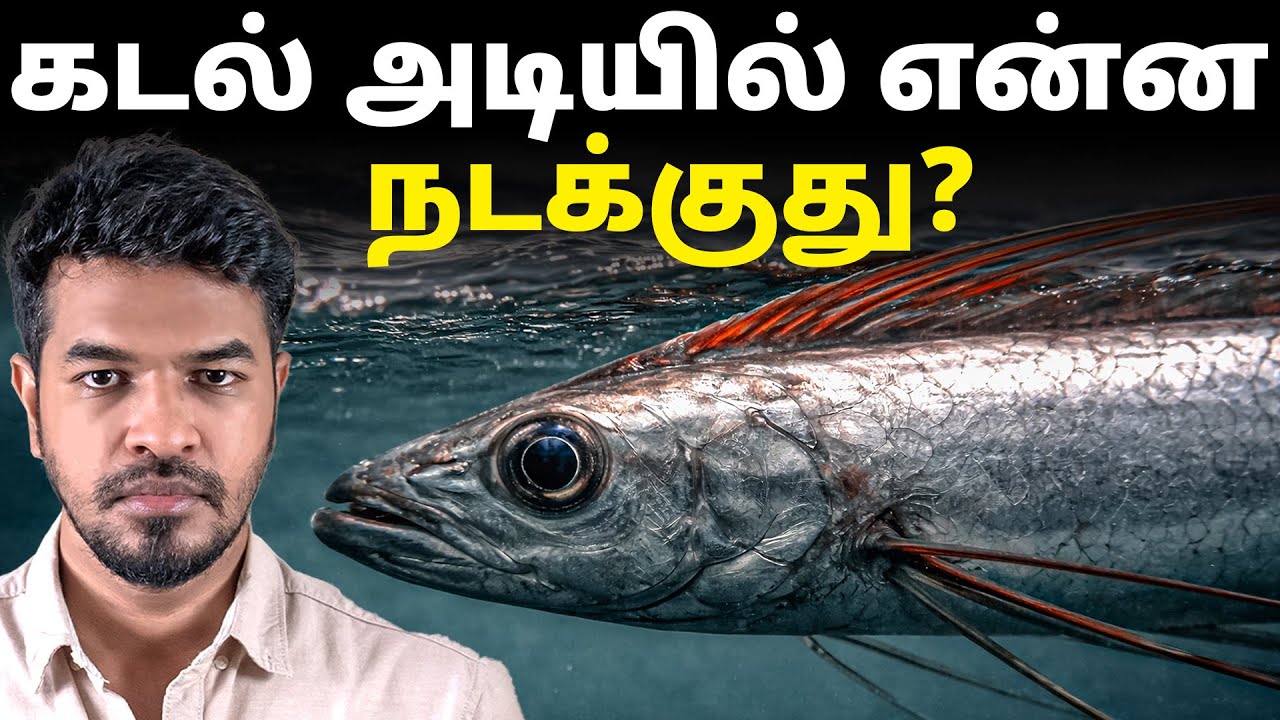 ஆழ்கடல் உயிர்கள் மேலே வர காரணம் என்ன?  | Madan Gowri Tamil 🖖🏻
