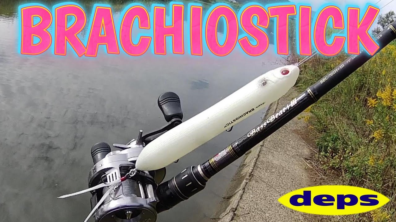 【bassfishing】またまたシーバス