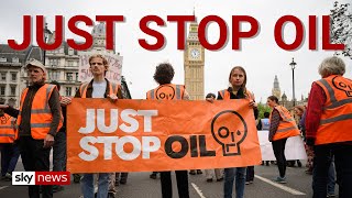 The mob unleashes on Just Stop Oil ‘crazies’