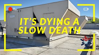 IT'S DYING A SLOW DEATH