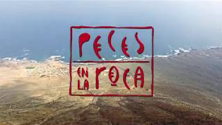 Peces en la Roca - El arte rupestre de la cordillera costera de la Región de Antofagasta, Chile.