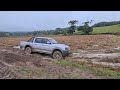 L200 na lavoura de arroz